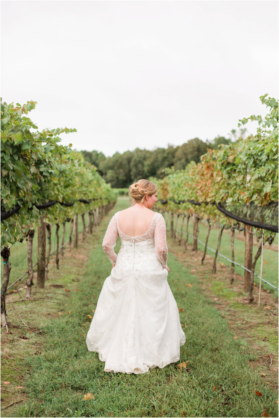 2015-12-28_0023.jpg 2015-12-28_0023.jpg