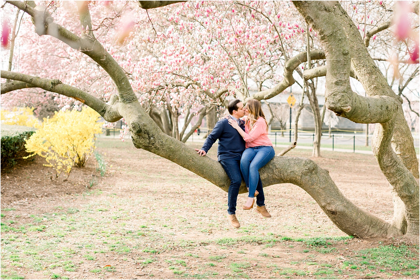 cherry-blossom-engagement-photo_0039.jpg