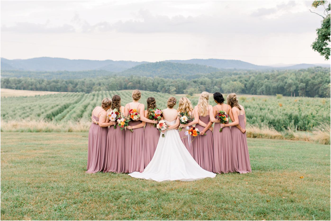 Bride and bridesmaids looking at the mountains and vineyards backdrop at Pharsalia. Bridesmaids in mauve bridesmaid dresses with fall colored bouquets