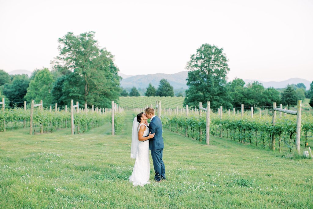 bride and groom portrait taken in front of the vines at Veritas Winery in Charlottesville, Virginia